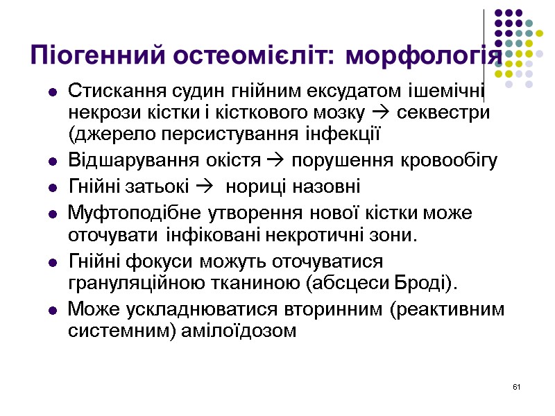 61 Піогенний остеомієліт: морфологія Стискання судин гнійним ексудатом ішемічні некрози кістки і кісткового мозку